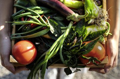 food waste