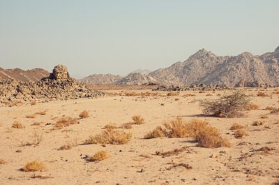 Sakhir Desert