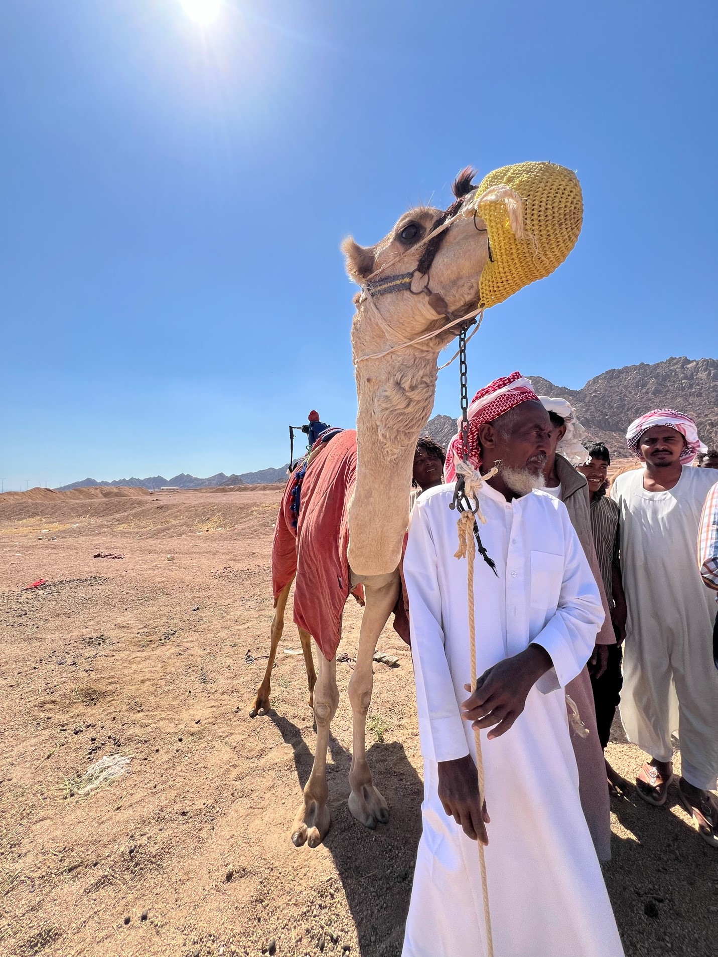A bedouin with his camel