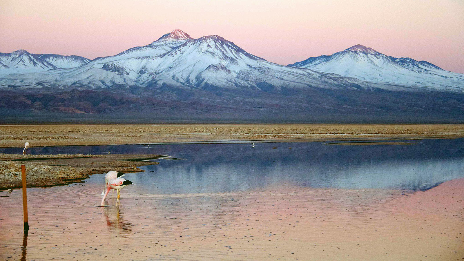 Tierra Atacama