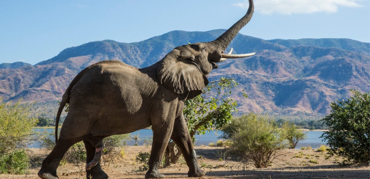 Zambia leads way in Southern African tourism with progressive visa policy